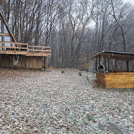 Cabanaaframe Intreaga Proprietate Curtea de Argeş Exterior foto