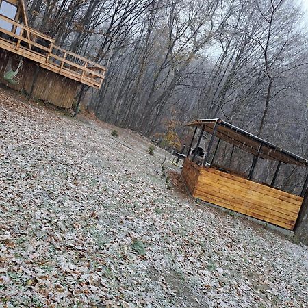 Cabanaaframe Intreaga Proprietate Curtea de Argeş Exterior foto