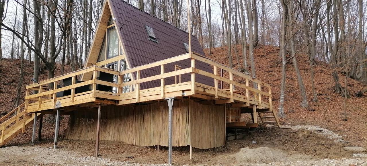 Cabanaaframe Intreaga Proprietate Curtea de Argeş Exterior foto