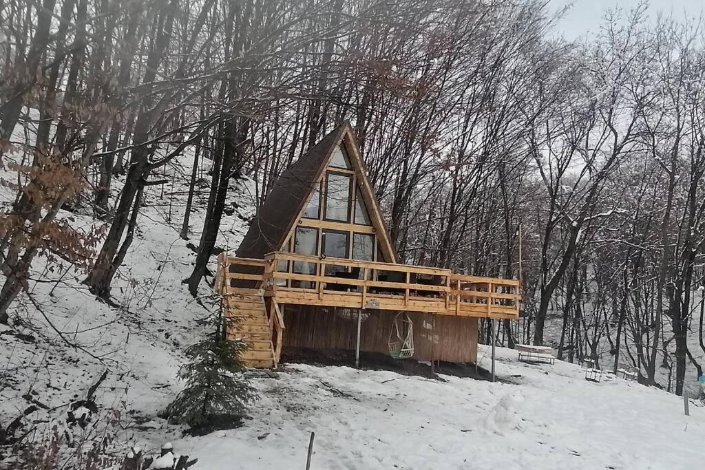 Cabanaaframe Intreaga Proprietate Curtea de Argeş Exterior foto