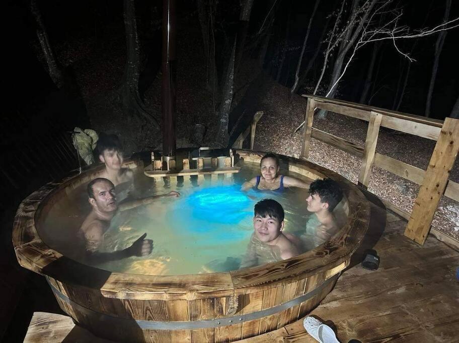 Cabanaaframe Intreaga Proprietate Curtea de Argeş Exterior foto