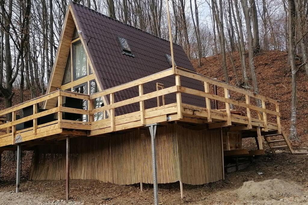 Cabanaaframe Intreaga Proprietate Curtea de Argeş Exterior foto