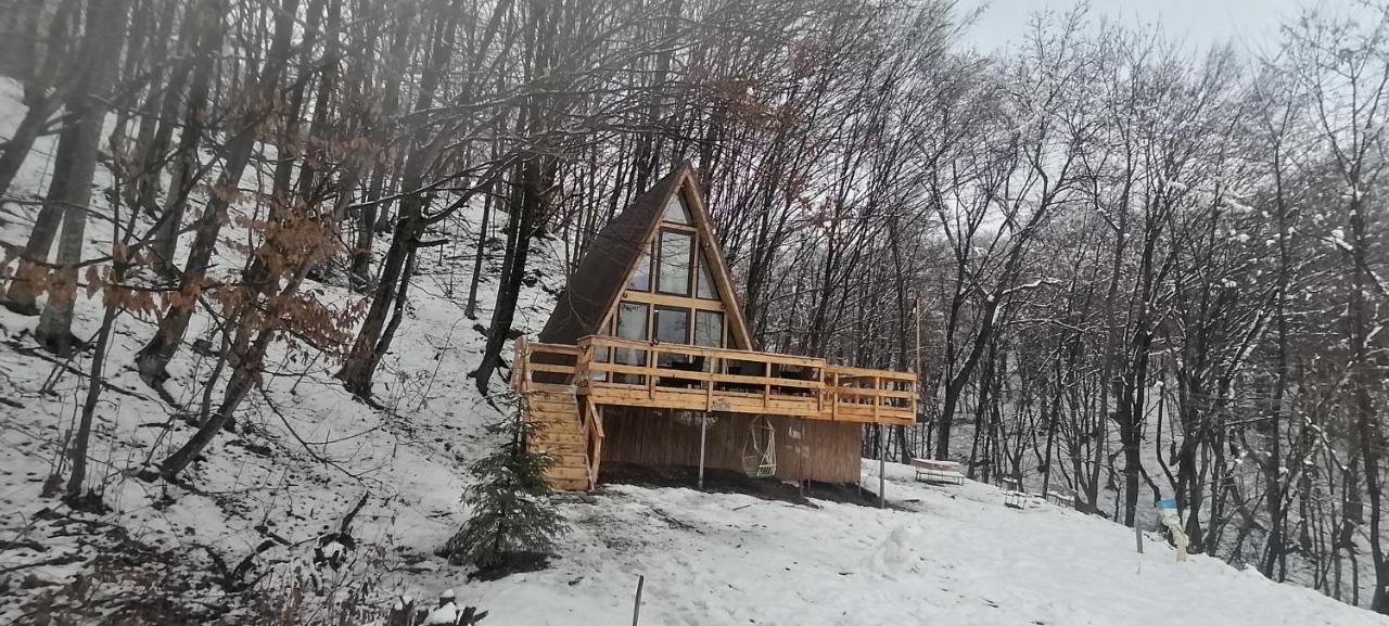 Cabanaaframe Intreaga Proprietate Curtea de Argeş Exterior foto