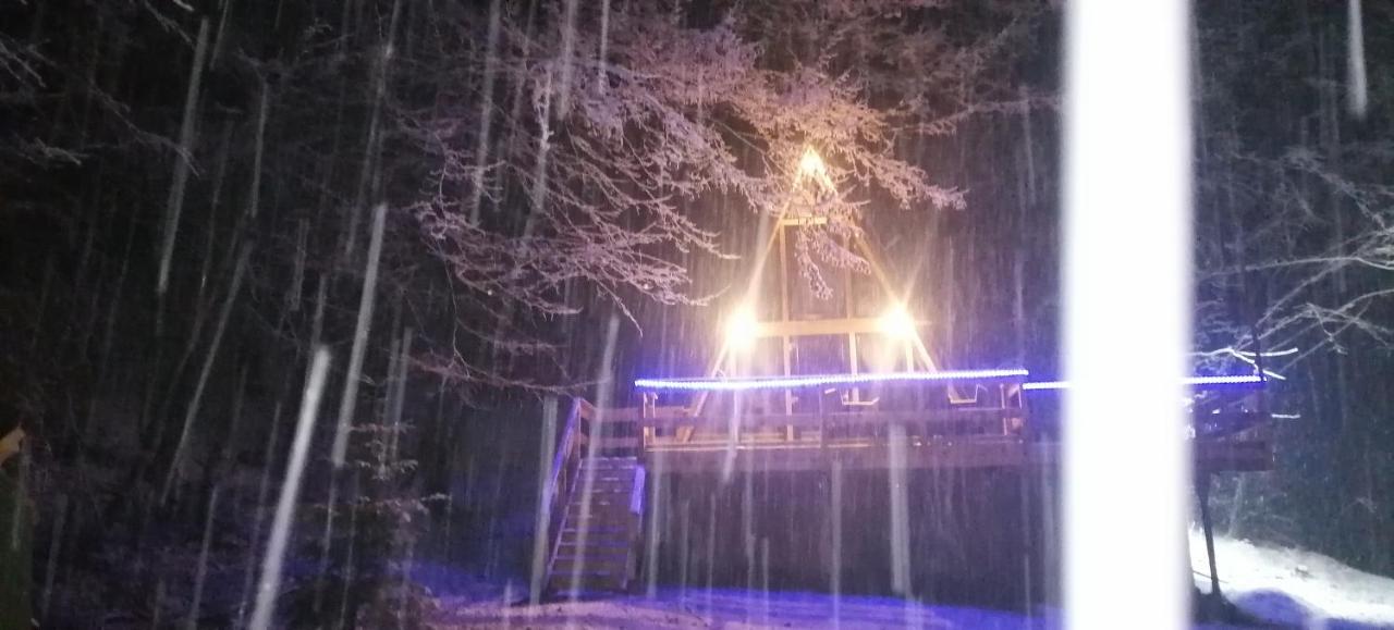 Cabanaaframe Intreaga Proprietate Curtea de Argeş Exterior foto