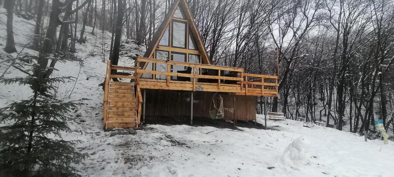 Cabanaaframe Intreaga Proprietate Curtea de Argeş Exterior foto
