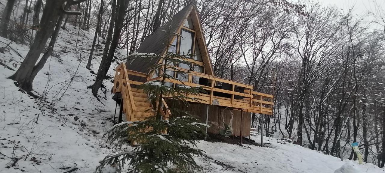Cabanaaframe Intreaga Proprietate Curtea de Argeş Exterior foto