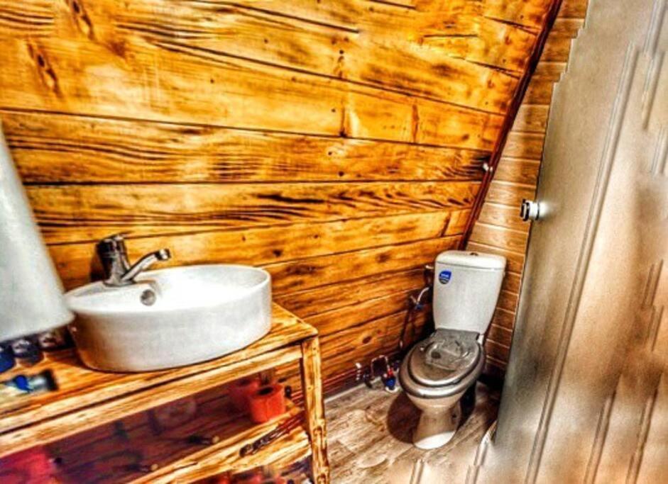 Cabanaaframe Intreaga Proprietate Curtea de Argeş Exterior foto